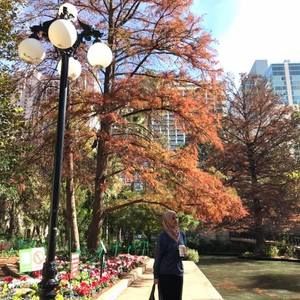 Meet your Posher, Mona